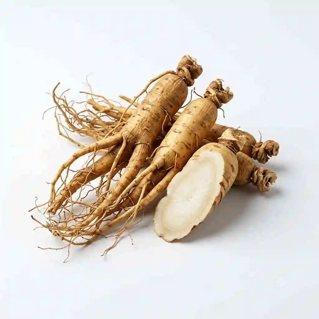 panax ginseng